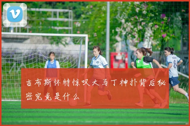 吉布斯怀特惊叹大马丁神扑背后秘密究竟是什么